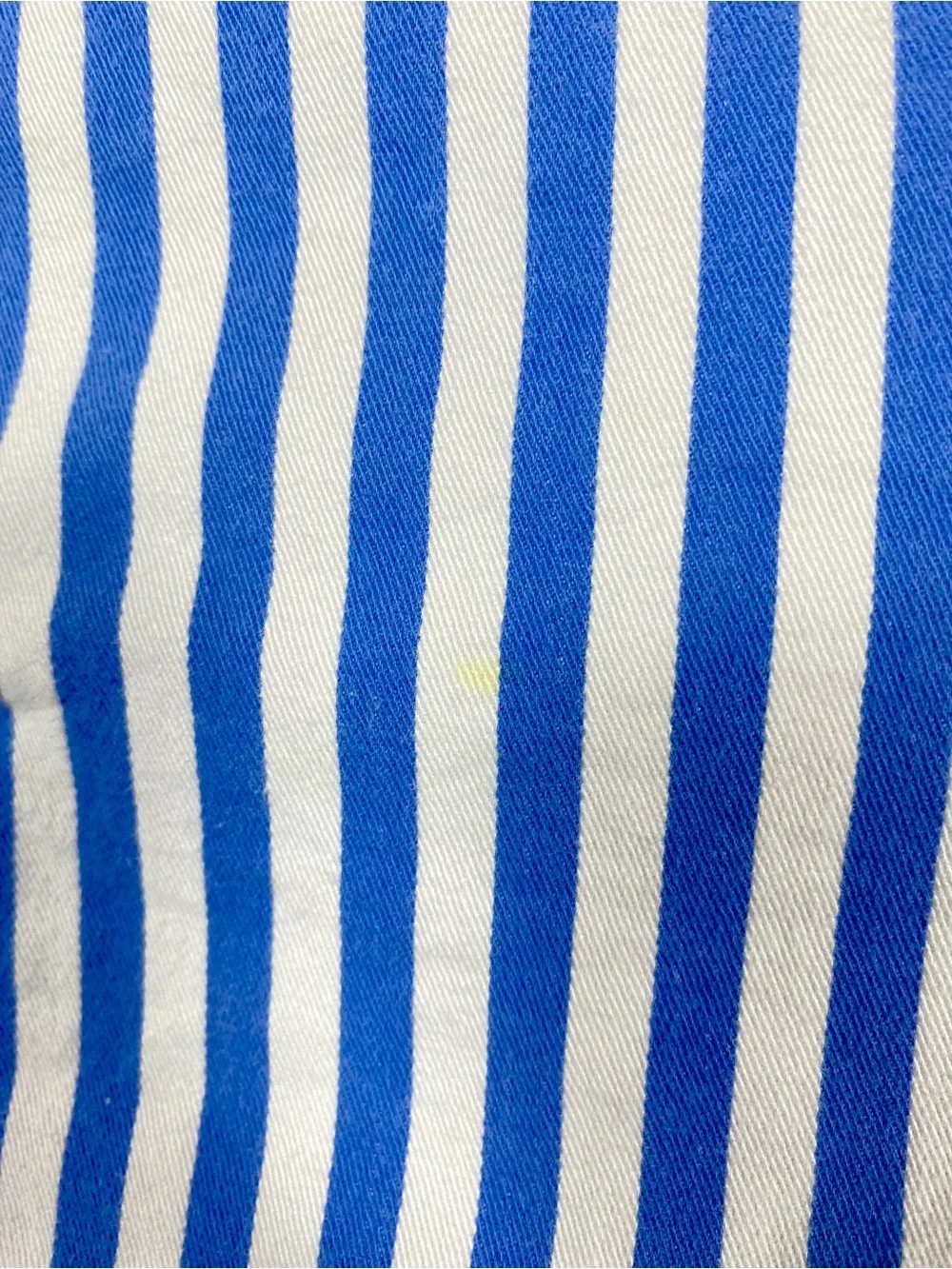 J.Crew Re-Imagined Blue White Striped Shorts Size 12